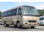 Coaster Micro Bus