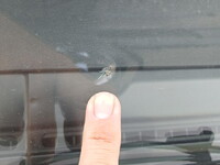 HINO Profia Aluminum Wing QPG-FW1EXEG 2014 557,000km_38