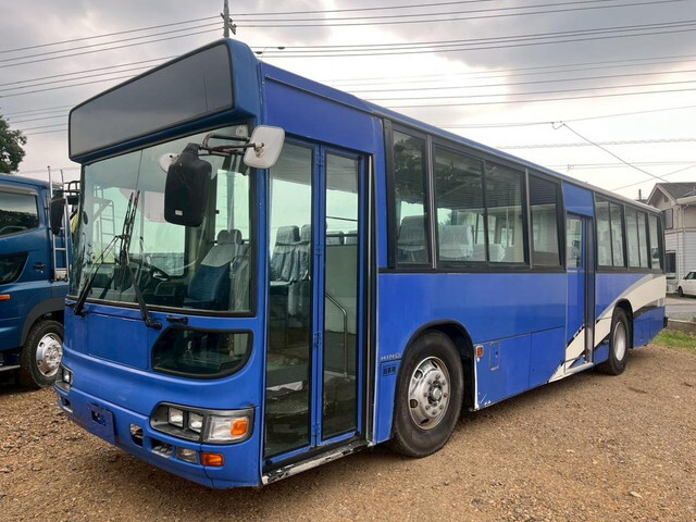 Blue Ribbon Bus_2