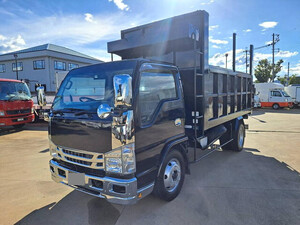 ISUZU Elf Deep Dump BDG-NKR85R 2008 170,000km_1