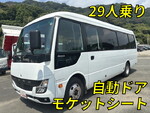 Rosa Micro Bus