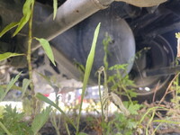 ISUZU Giga Hiab Crane 2RG-CXZ77DT 2024 25,454km_25