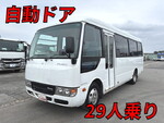 Rosa Micro Bus