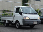Vanette Flat Body