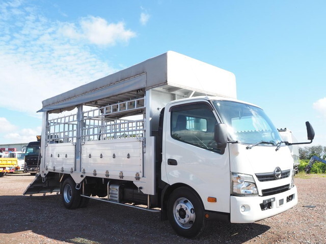 Dutro Cattle Transport Truck_1