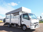 Dutro Cattle Transport Truck