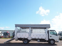 HINO Dutro Cattle Transport Truck 2KG-XZU720M 2018 149,053km_7