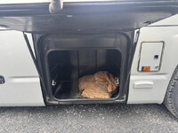 ISUZU Gala Mio Bus 2DG-RR2AJDJ 2019 146,827km_9