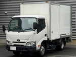 Dyna Panel Van