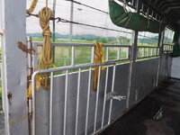 HINO Ranger Cattle Transport Truck KK-FC5JKEA 2002 631,312km_15
