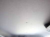 NISSAN Atlas Flat Body CBF-SQ2F24 2013 25,000km_36