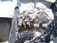 HINO Ranger Mixer Truck 2KG-FJ2ABA 2018 199,944km_36