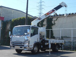 Elf Truck (With 6 Steps Of Cranes)