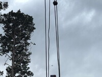 UD TRUCKS Condor Truck (With 4 Steps Of Cranes) QKG-PK39LH 2014 398,126km_37