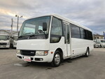 Rosa Micro Bus