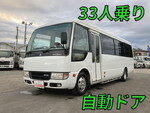Rosa Micro Bus