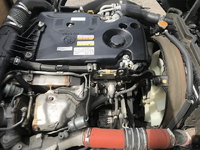 ISUZU Elf Flat Body TRG-NJR85A 2019 48,576km_14