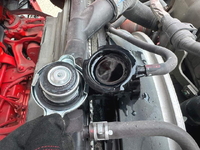 HINO Ranger Truck (With 4 Steps Of Cranes) 2KG-FE2ACG 2025 19,397km_34